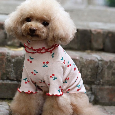 유앤펫 강아지옷 앵두 프릴 티셔츠, 핑크