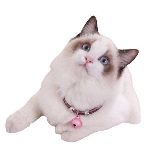 예보들 고양이 방울 목걸이, 핑크, 1개