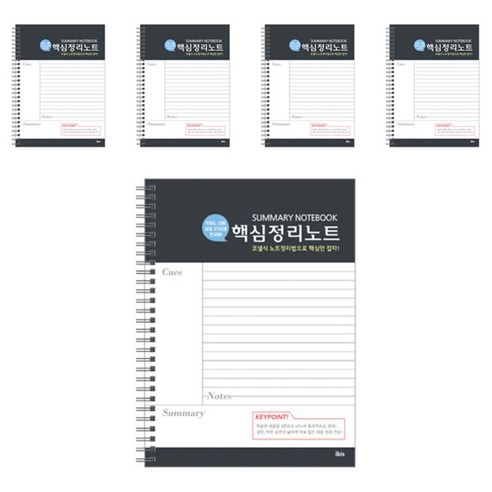 아이비스 핵심정리노트 SP 3500, 블랙, 5개