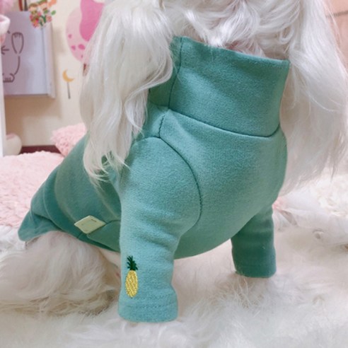 파인애플 폴라 강아지 티셔츠 DT042, 민트