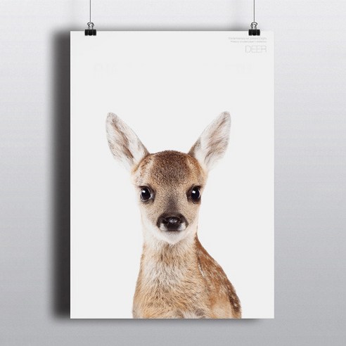 동물그림 포스터 사슴 221B