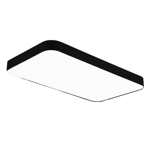 LED 심플 거실 2등 60W, 블랙