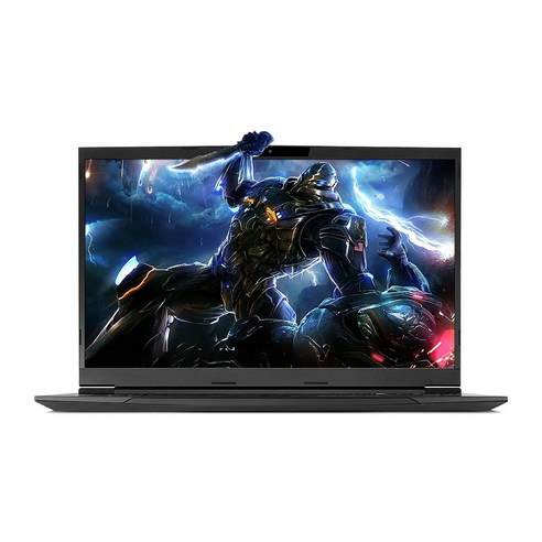한성컴퓨터 2021 TFG 17.3, 블랙, 코어i7 11세대, 500GB, 16GB, WIN11 Home, TFG7175W
