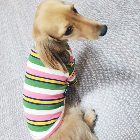 디자인사노 반려동물 스트라이프 반폴라 티셔츠, 핑크, 1개