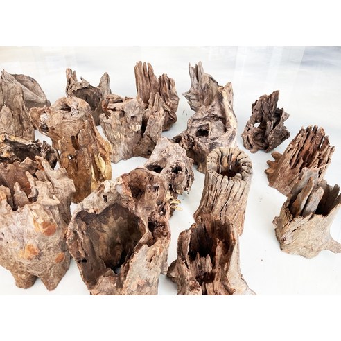 자연을 담은 모비딕 그루터기 유목으로 어항에 생기를 불어넣으세요!