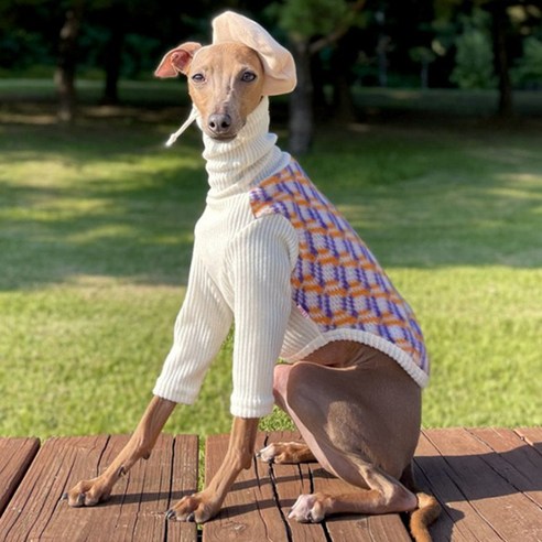 도기스타 강아지 이탈리안그레이하운드 아이쥐 기하학 무늬 기모 티셔츠, 아이보리목