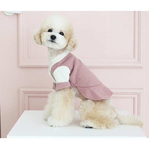 伴侶  寵物用品  小狗  貓  聯合使用  服裝  狗  狗  狗  狗