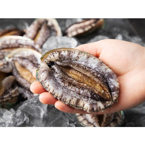 바다의 향미와 쫄깃한 식감을 즐기는 다복 활전복 선물세트