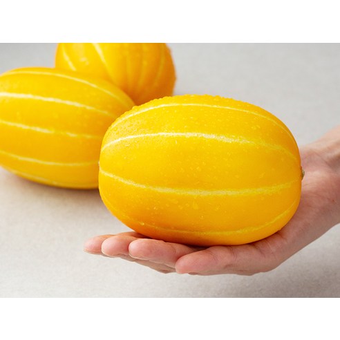 신선하고 맛있는 과일을 로켓프레시로 문 앞까지