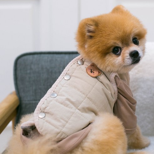 伴侶  寵物產品  小狗  貓  聯合使用  服裝  外衣  狗  狗  狗