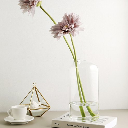 園藝 園藝 用品 園藝 花瓶 包含 放 花瓶 花瓶 家庭