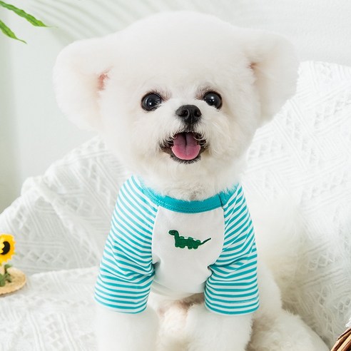 하이가이 강아지 스트라이프 공룡 나그랑 티셔츠, 스카이