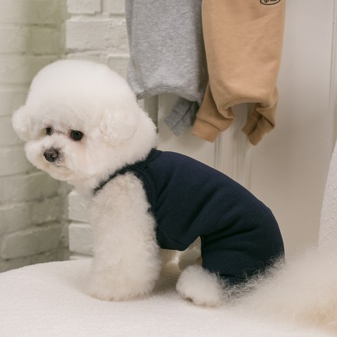 에이미러브즈펫 반려동물 모닝나시올인원, 네이비, 1개