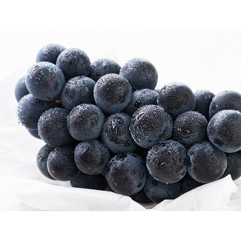 탱글탱글 캠벨포도, 상큼한 하루를 선물하는 마법!