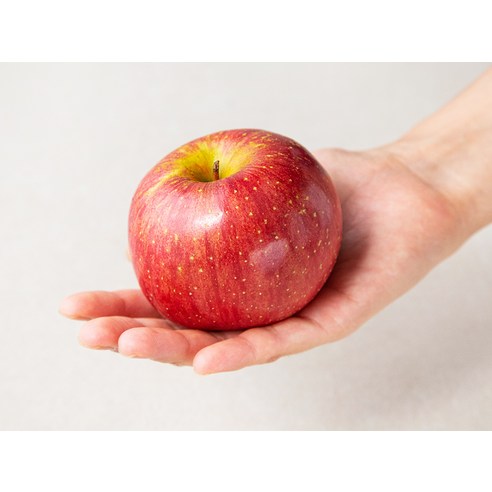 프레샤인 GAP인증 사과 소과 - 탐스러운 사과 선명한 붉은빛이 감돌아 먹음직스러운 사과예요