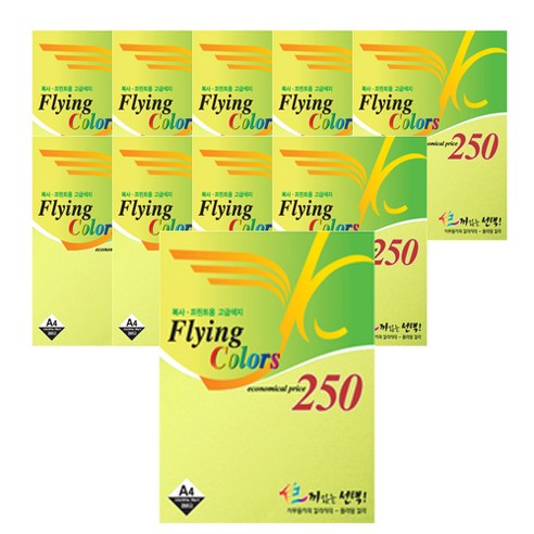 플라잉칼라 점보 복사용지 12 250매 x 10p, A4, 2500매