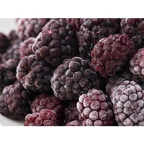 여름날의 싱그러움을 담은 보석, 트로피칼마리아 블랙베리