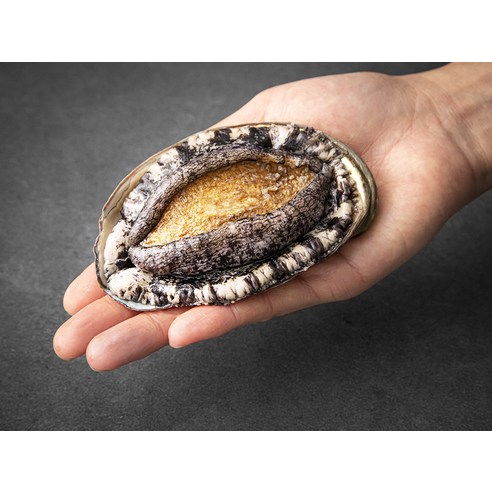 바다의 신선함을 집에서 편안하게 즐기세요