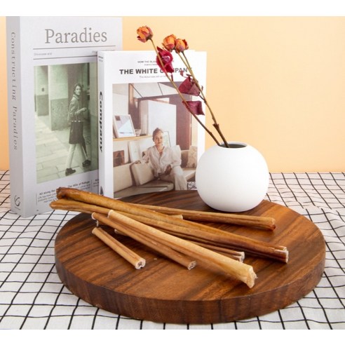 강아지의 행복을 위한 최고의 선택!