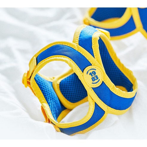 사랑하는 반려견과의 편안한 산책