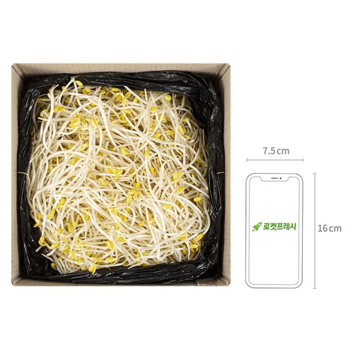 신선하고 건강한 곱슬이 콩나물로 맛있는 요리를 즐겨보세요!