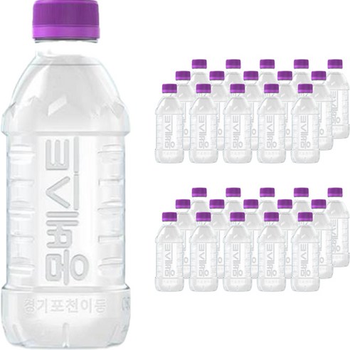 몽베스트 위드어스 무라벨 먹는샘물, 330ml, 60개