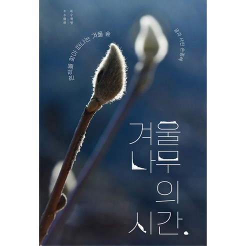 겨울나무의 시간:흔적을 찾아 떠나는 겨울 숲, 목수책방, 손종례 글사진