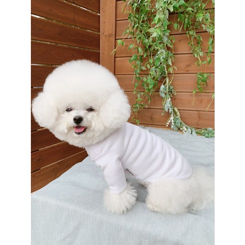 伴侶  寵物產品  小狗  貓  組合使用  服裝  T卹  狗  狗  狗