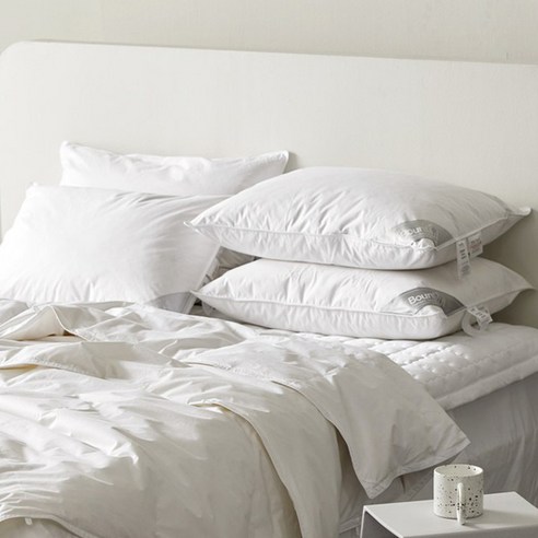 바운티풀 거위털 베개솜 900g, 화이트, 1개