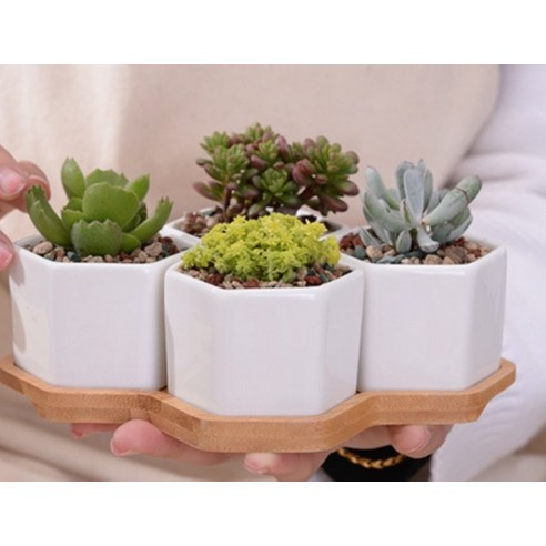 家具  FURNITURES  收納  收納  花盆架  花盆收納  花盆展示架  花盆架  花盆收納架