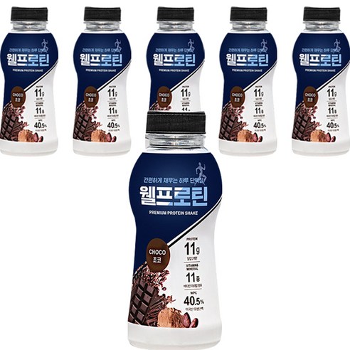 웰프로틴 초코, 40g, 6개