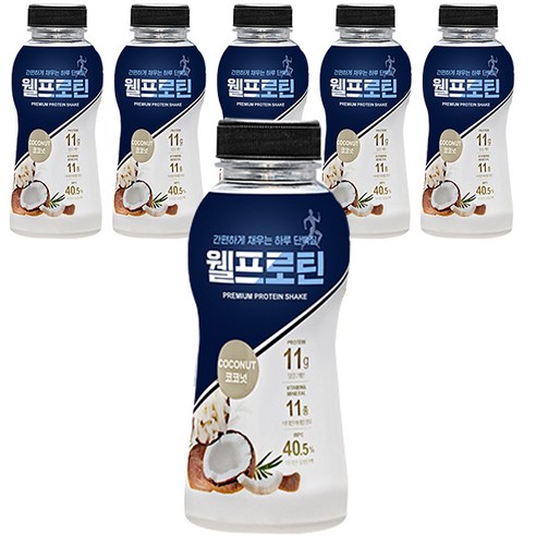 웰프로틴 코코넛, 40g, 6개