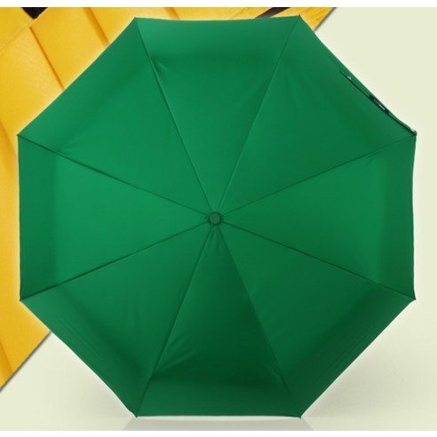 스타일과 기능을 겸비한 완벽한 우산