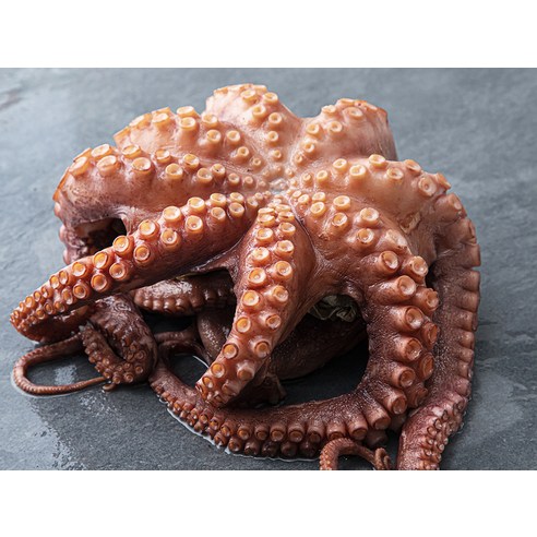 통통한 자숙 문어로 풍성한 식탁 연출하기