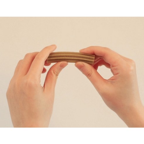 씹는 즐거움으로 댕댕이 구강 건강 지키기!