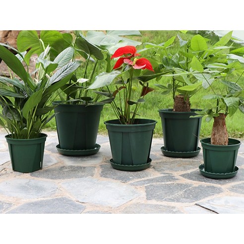 물 주는 게 두려운 초보도 안심! 앙플랜트 슬릿화분으로 뿌리 건강 지키고 싱그러운 식물 생활 시작하세요.