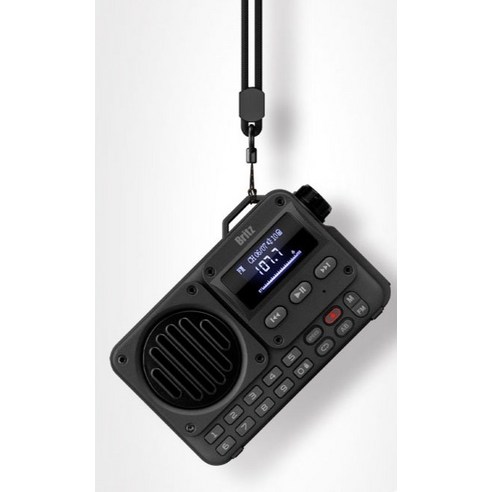 브리츠 FM 라디오 블루투스 스피커 BZ-LV1100, 브리츠 BZ-LV1100, 블랙