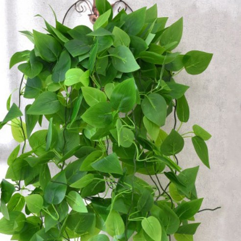녹색 덩굴 장미 잎 조화 벽장식 당근잎 105cm
