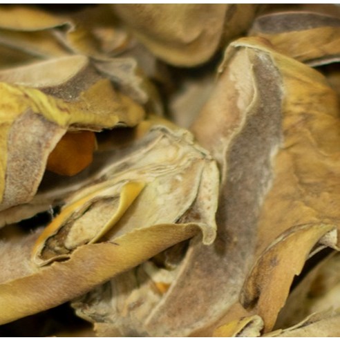 食品 傳統茶 豆茶 茶 豆茶