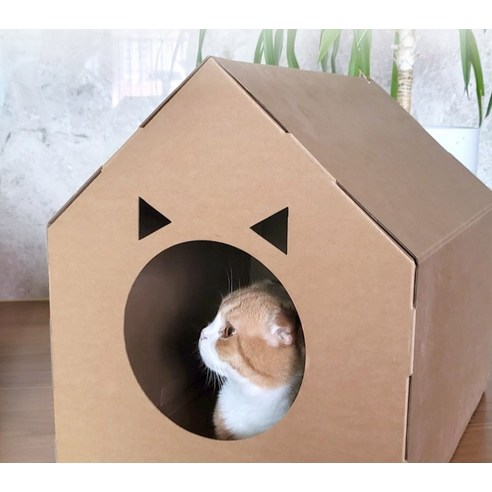 네이처펫 종이로 만든 고양이 하우스 숨숨집 사각형, 1개