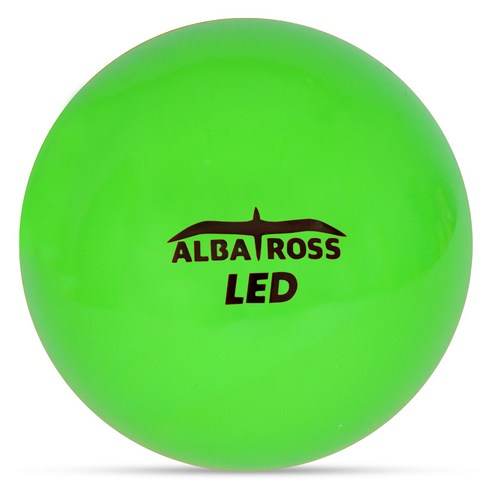알바트로스 LED 파크골프 4피스