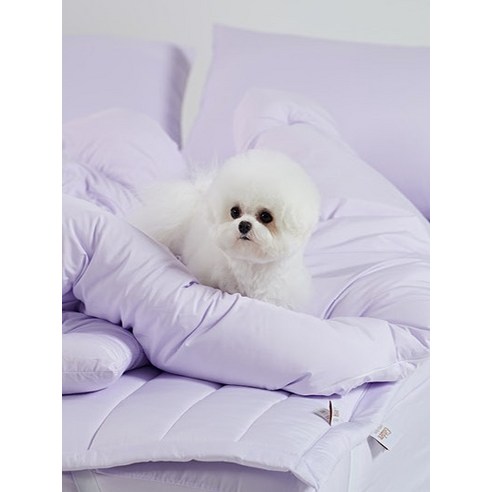 반려동물과 함께 편안하고 알레르기 없는 수면을 위한 털 안붙는 나란히 알러지케어 차렵이불