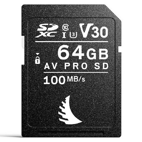 엔젤버드 AV PRO SD V30 메모리카드, 64GB