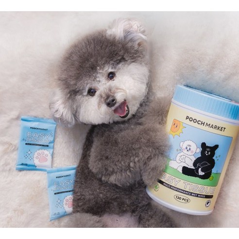 귀여운 반려동물을 위한 필수 아이템