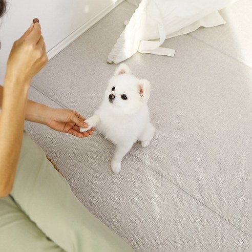 LIFANG 폴딩 매트로 반려견에게 안전하고 아늑한 쉼터를 선물하세요!