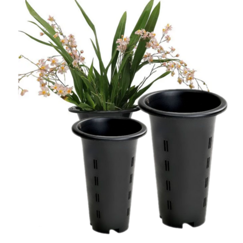 자연과 함께하는 실내 인테리어