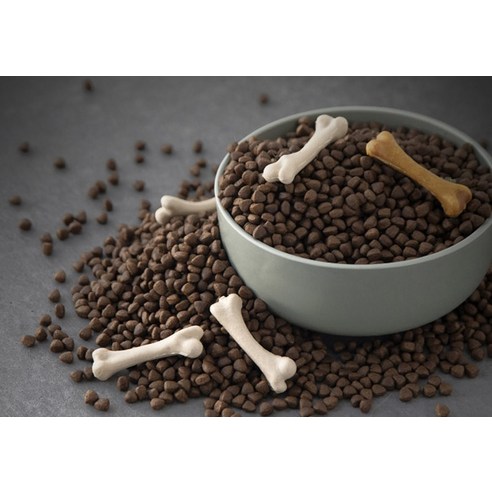 맛과 영양을 갖춘 강아지 사료