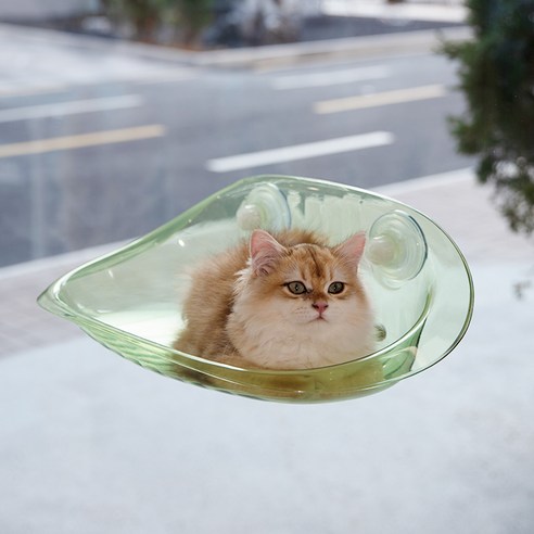 칠시 고양이 강력흡착 투명 해먹, 에메랄드, 1개
