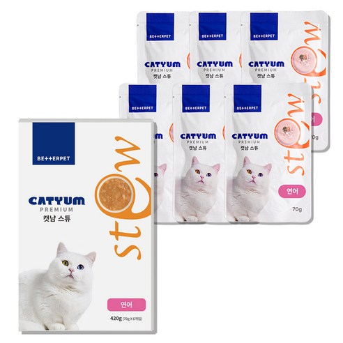 베러펫 캣냠 고양이 스튜 소프트 스프 습식사료 연어, 70g, 6개, 생선