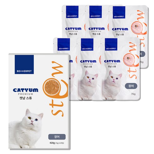 베러펫 캣냠 고양이 스튜 소프트 스프 습식사료 장어, 70g, 6개, 생선